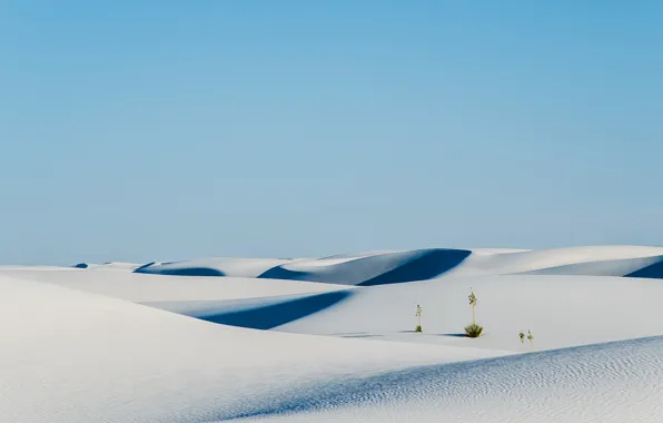 Picture sky, nature, sand, plants, Desert, shrubs, white sand, dunes