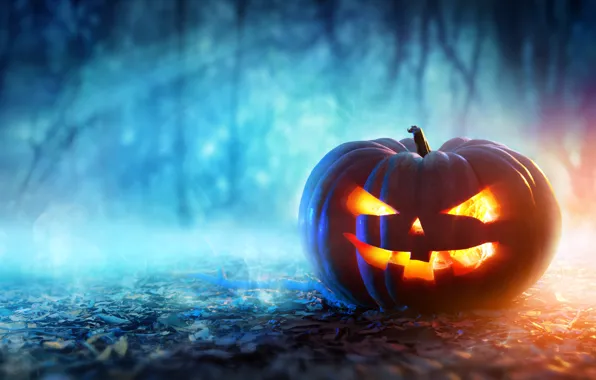 Picture halloween, pumpkin, evil face