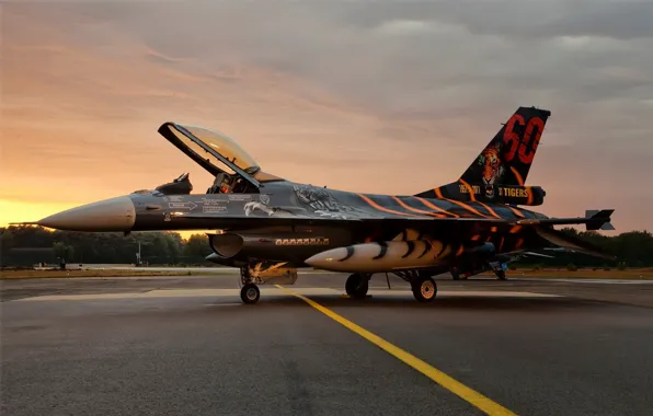 Picture figure, fighter, F-16, falcon
