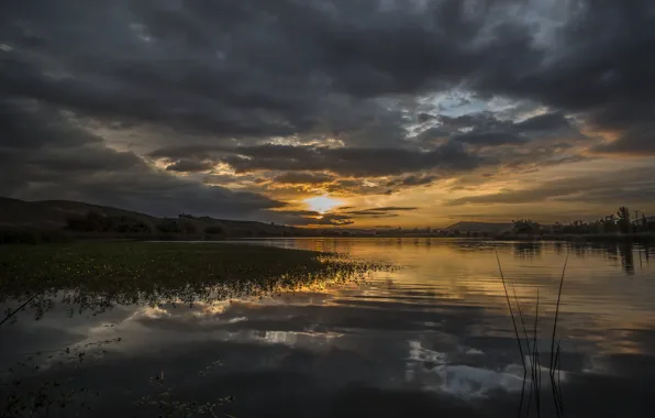 Picture forest, nature, lake, dawn