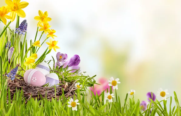 The sky, grass, the sun, flowers, basket, spring, Easter, flowers