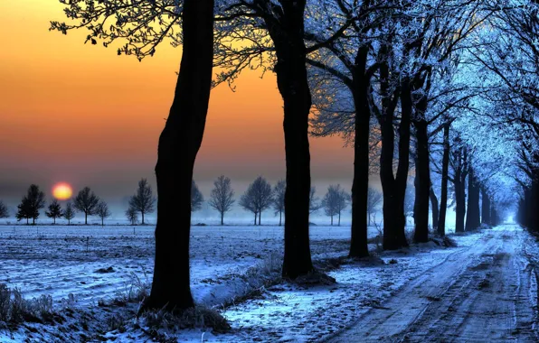 Picture road, snow, traces, Winter, trees