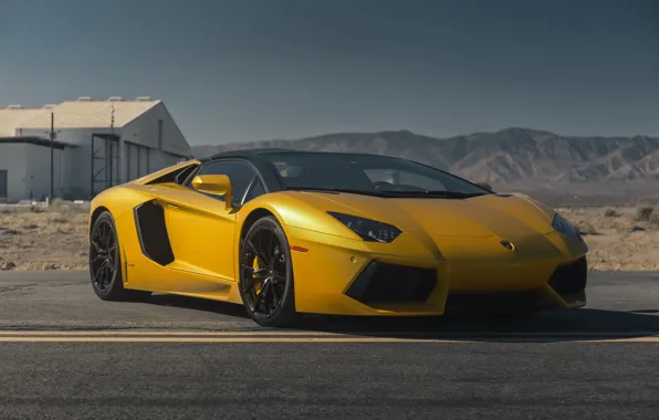 Picture Lamborghini, Color, Aventador, Gold