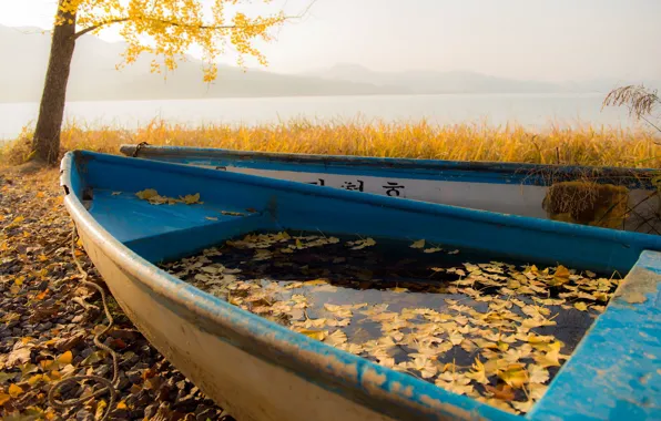 Autumn, leaves, boats