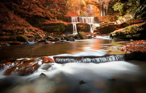 Autumn, forest, light, trees, branches, bridge, stones, shore