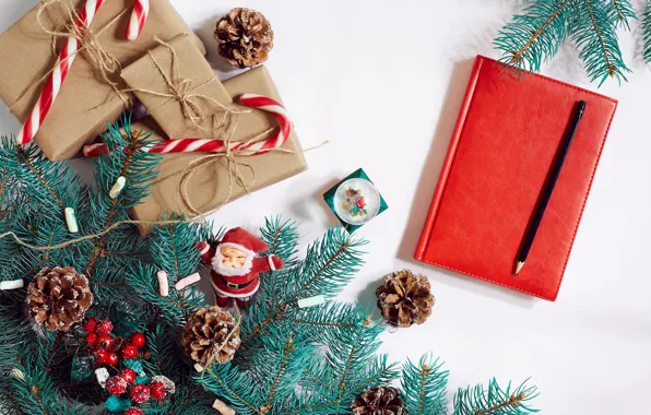 Branches, toy, fruit, Christmas, gifts, white background, New year, Notepad