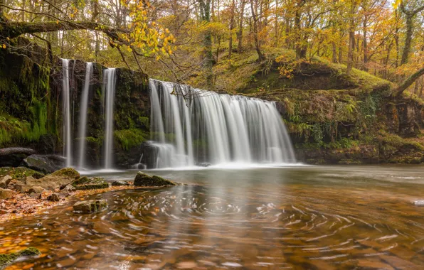 Autumn, forest, trees, river, England, waterfall, England, Wales