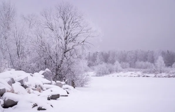 Picture snow, landscape, tree, stone, the snow