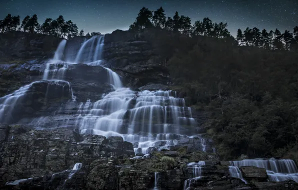 Forest, summer, water, stars, night, nature, stones, tree