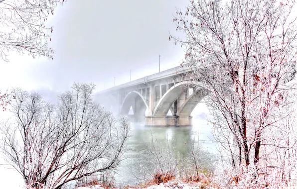 Picture Winter, Landscape, Bridge, Snow, River, Trees