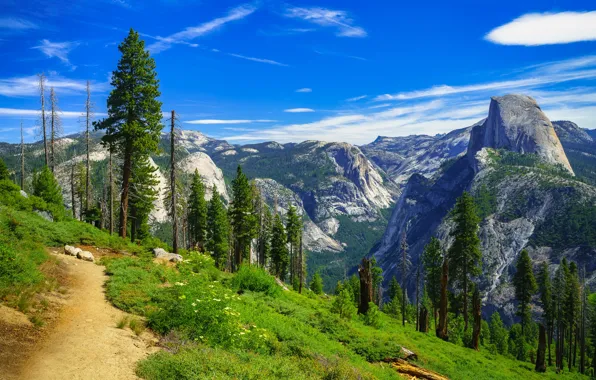 Trees, mountains, CA, path, California, Yosemite Valley, Yosemite National Park, Sierra Nevada