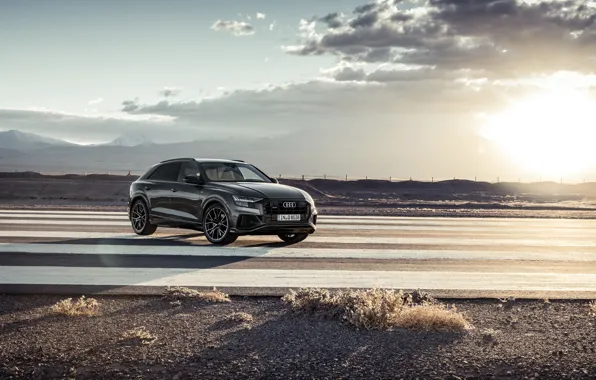 Quattro, 2018, crossover, S-Line, 55 TFSI, Audi Q8
