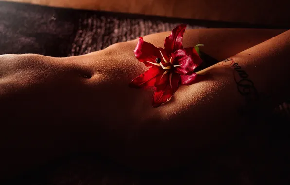 Girl, Sexy, Flower, Nude, Book, Lara, Laurent KC, Ritchi