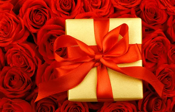 Drops, flowers, box, gift, roses, tape