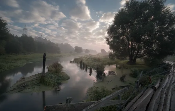 Summer, the sky, grass, clouds, trees, fog, lake, pond