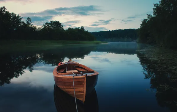 Picture fog, river, boat