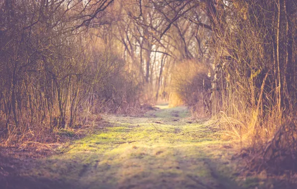 Pathway, running, entrace