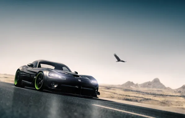 Auto, Black, Bird, Machine, Dodge, Viper, Dodge Viper, Sports car