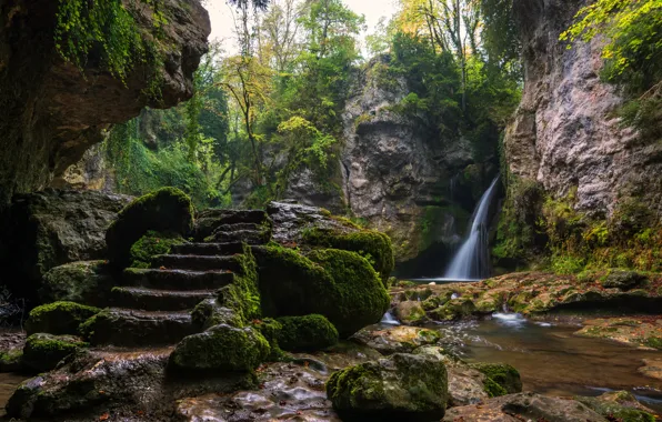 Picture greens, trees, stream, stones, rocks, waterfall, moss, Switzerland