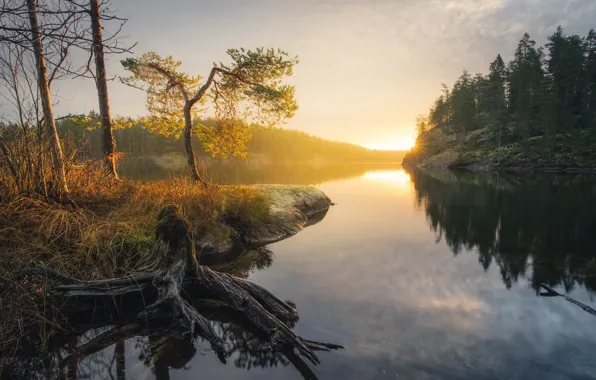 Light, lake, morning