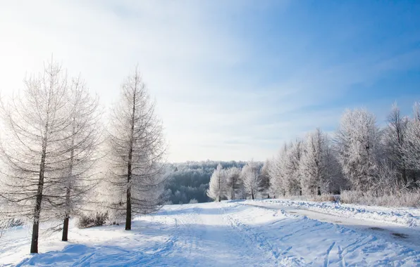 Picture winter, snow, trees, landscape, winter, landscape, nature, beautiful