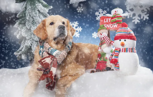 Snow, snowflakes, dog, scarf, snowmen, Golden Retriever, Golden Retriever