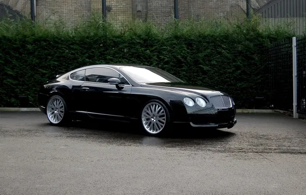 Picture continental, bentley