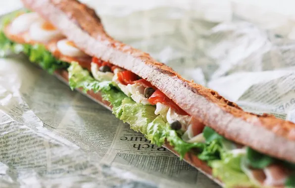 Sandwich, roll, filling, subway, subway