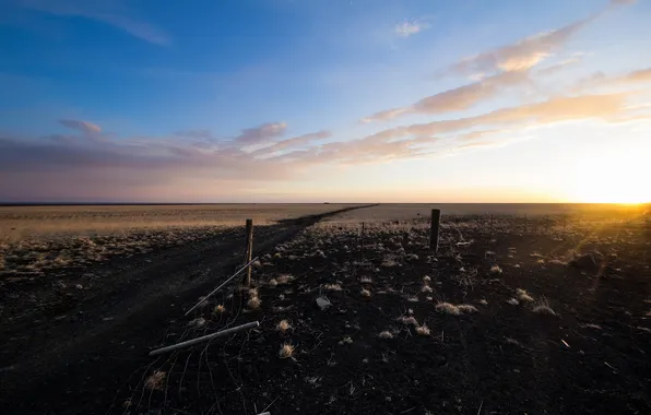 Road, field, landscape, Iceland, Vestur-Skaftafellssysla