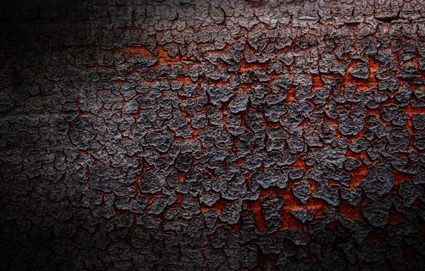 Picture texture, lava, bark