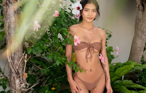 Model, brunette, gorgeous, photoshoot, posing, Asian beauty, beautiful face, wildflowers