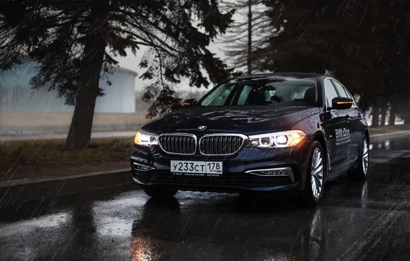 Car, machine, auto, city, fog, race, bmw, BMW