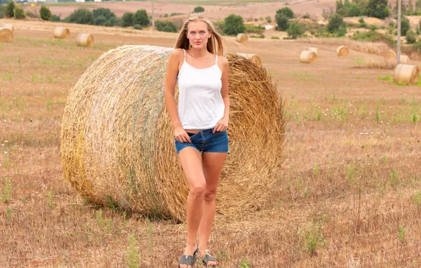 Field, nature, model, sexy woman, countryside, photoshoot, posing, black panties