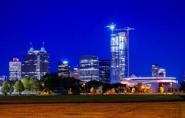 Field, the sky, grass, trees, night, lights, lawn, home
