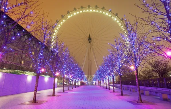 England, London, The evening, Night, Trees, Wheel, UK, Track