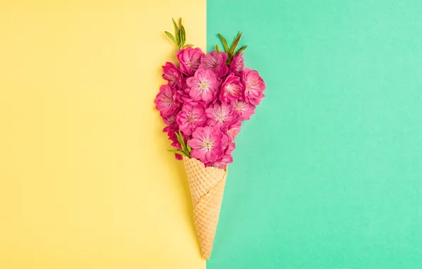 Flowers, pink, horn, peach, waffle