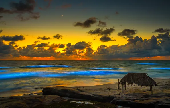 Picture sunset, coast, Oregon, USA