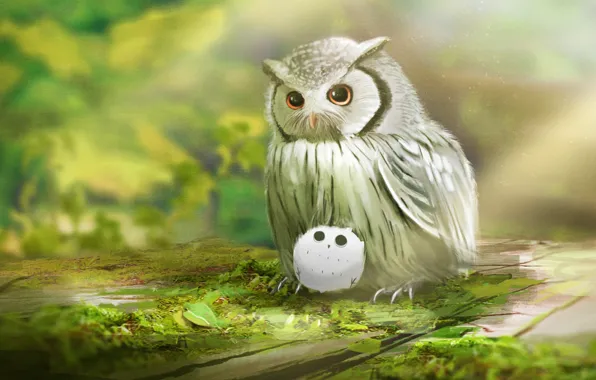 Nature, owl, owlet