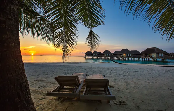 Sunset, stay, shore, Paradise, The Maldives, Bungalow, The Indian ocean