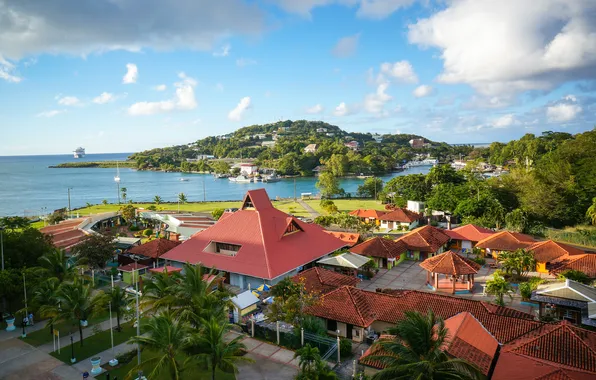 Picture landscape, palm trees, coast, panorama, houses, The Caribbean sea, Saint Lucia, Saint Lucia