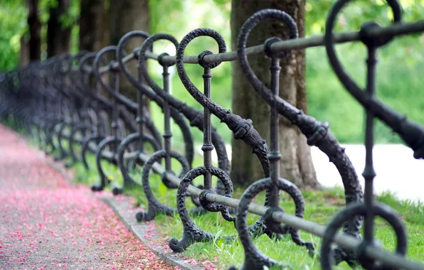 Macro, street, the fence