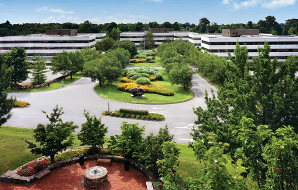 Markup, vegetation, building, installation, Kingsbrook