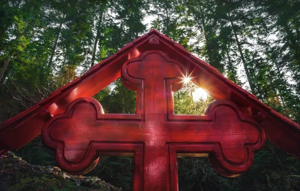 Forest, trees, cross