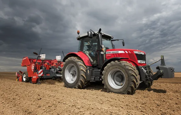 Field, tractor, Massey Ferguson