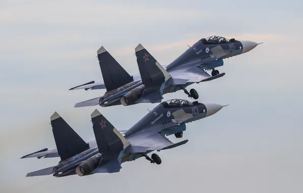 Picture fighter, pair, flight, Russia, multipurpose, Su-30CM