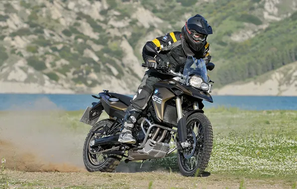 Grass, background, BMW, BMW, motorcycle, biker, motorcyclist, the front