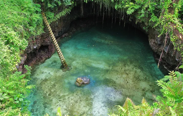 Picture water, jungle, cave, beautiful
