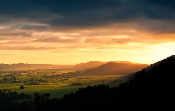 Greens, the sky, grass, the sun, clouds, light, trees, landscape