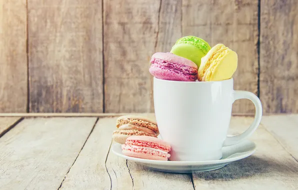 Colorful, Cup, cup, french, macaron, macaroon