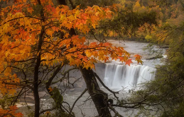 Picture autumn, trees, landscape, nature, river, waterfall, USA, Kentucky